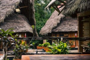 Cuyabeno Amazon Lodge — 5 Days