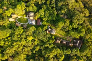 Cuyabeno Amazon Lodge — 3 Days